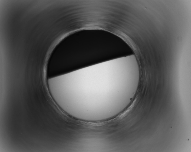 X0000089351196200707131525