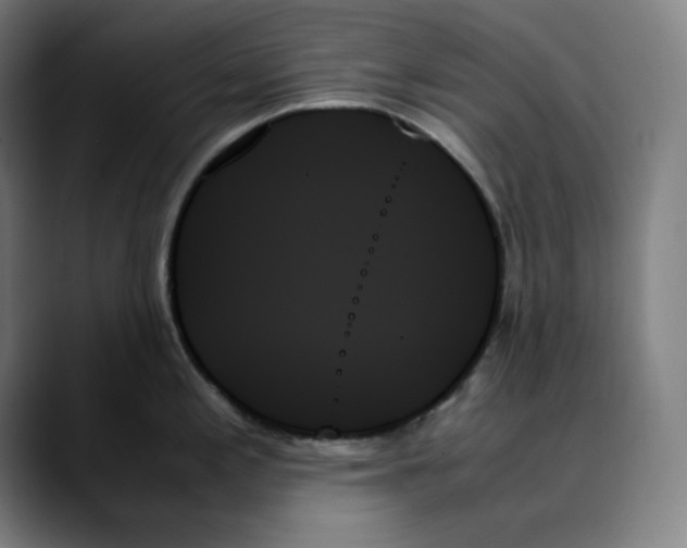 X0000089351197200707131525
