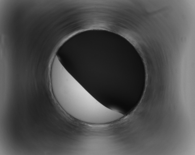 X0000089351200200707131525