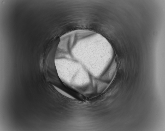 X0000089351202200707131525