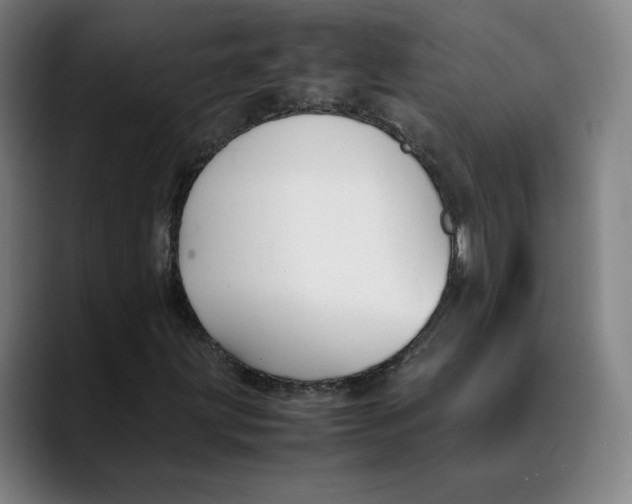 X0000089351203200707131525