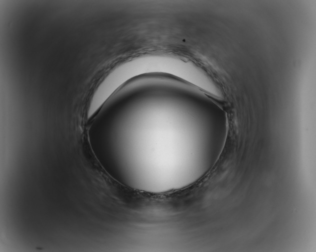 X0000089351206200707131525