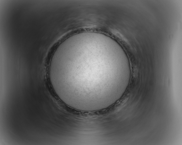 X0000089351208200707131525