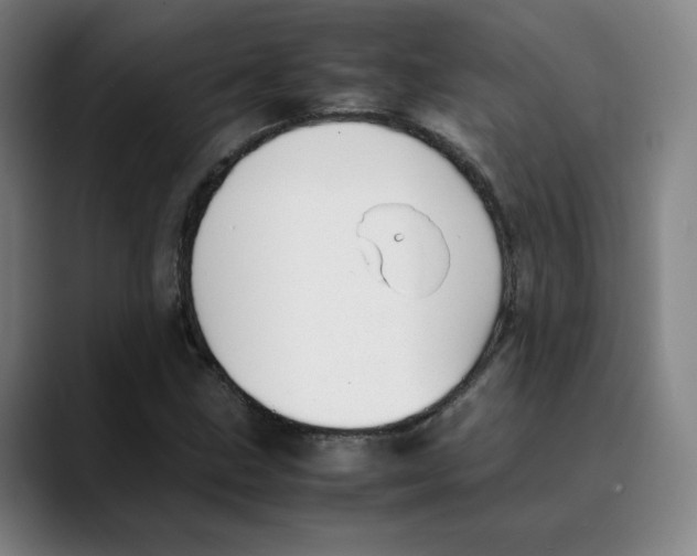 X0000089351211200707131525