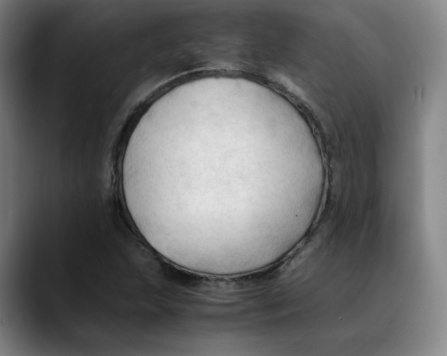 X0000089351215200707131525