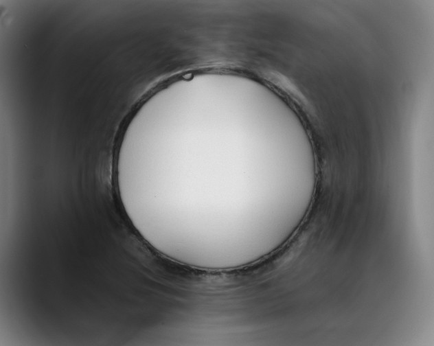 X0000089351220200707131525
