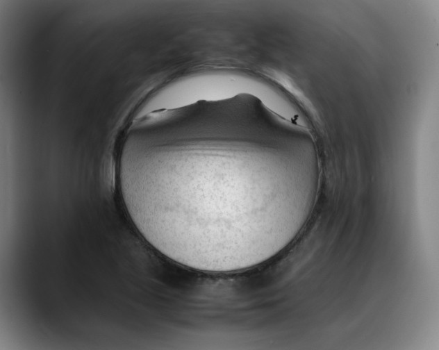 X0000089351221200707131525
