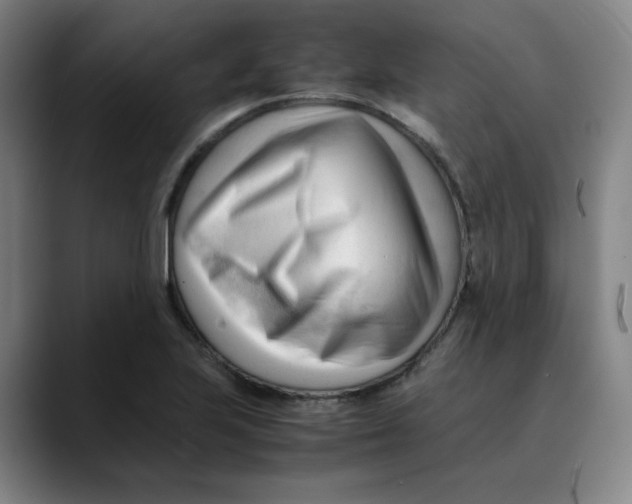 X0000089351223200707131525