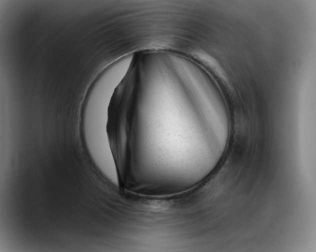 X0000089351226200707131525