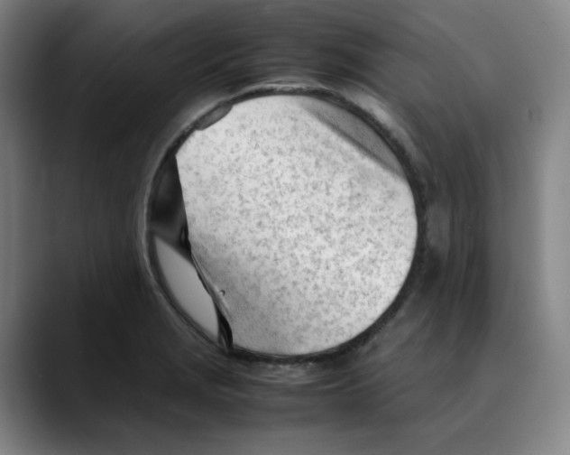 X0000089351229200707131525