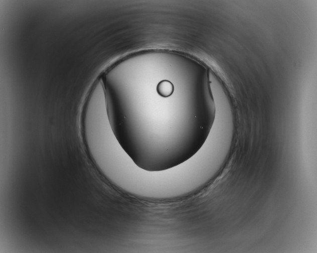X0000089351230200707131525