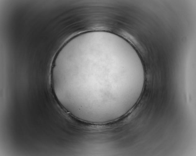 X0000089351236200707131525