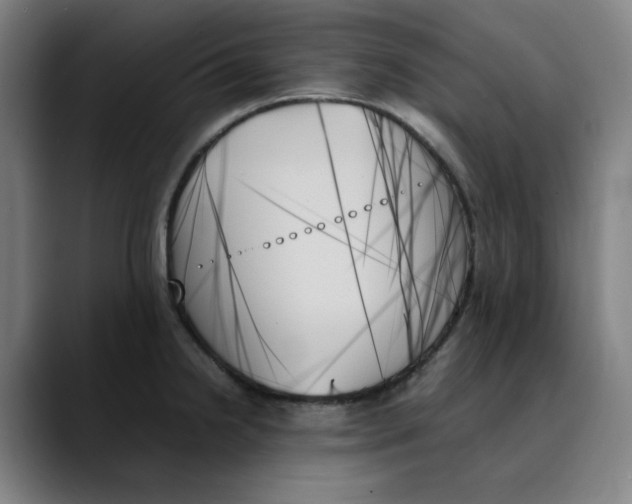 X0000089351238200707131525