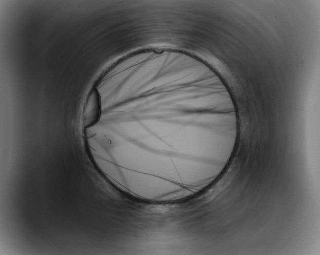 X0000089351240200707131525