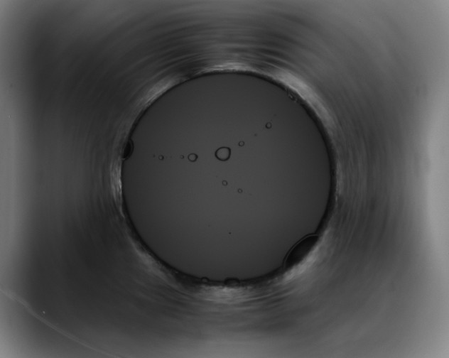 X0000089351241200707131525