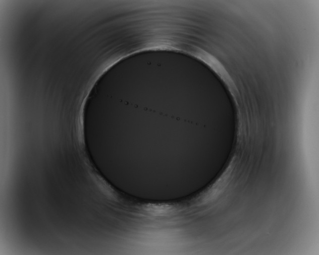 X0000089351242200707131525