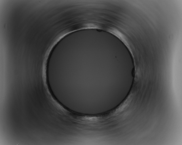 X0000089351243200707131525