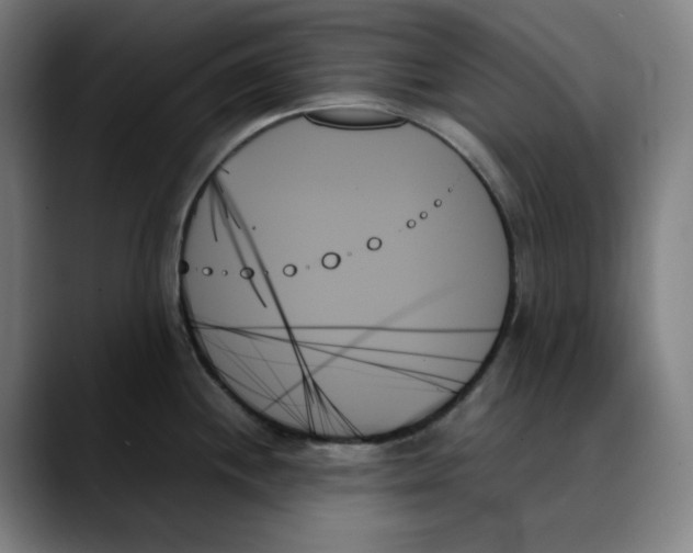 X0000089351244200707131525