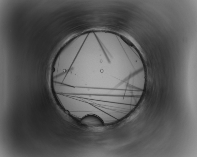 X0000089351245200707131525
