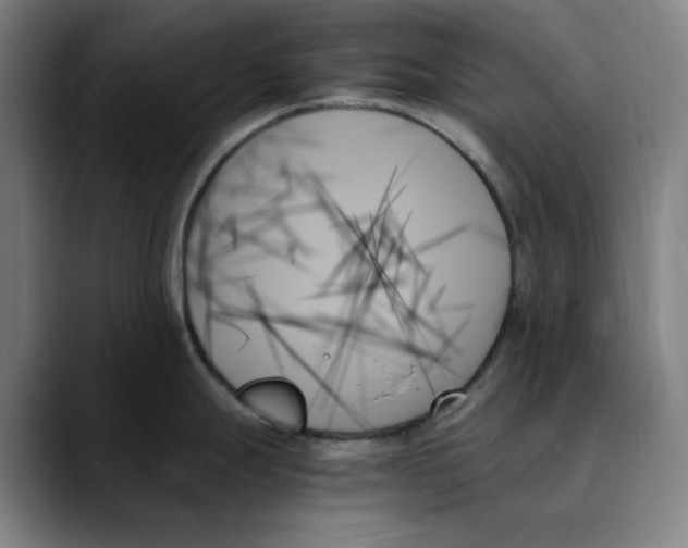 X0000089351247200707131525