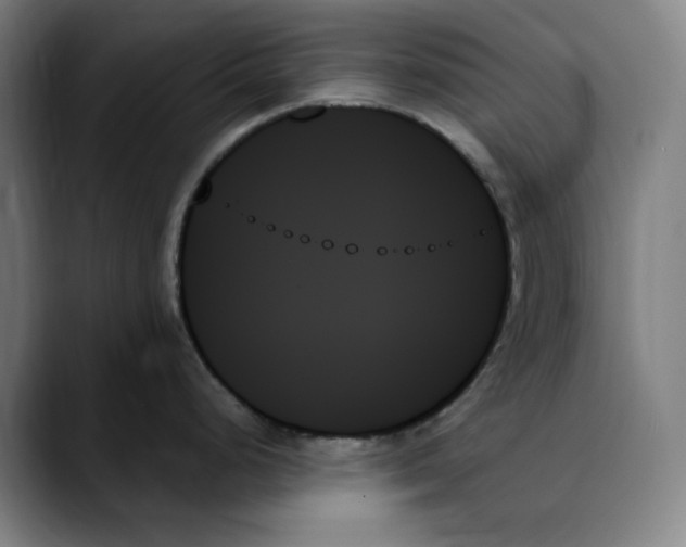 X0000089351248200707131525