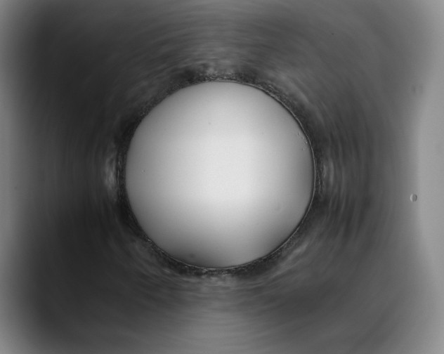 X0000089351250200707131525