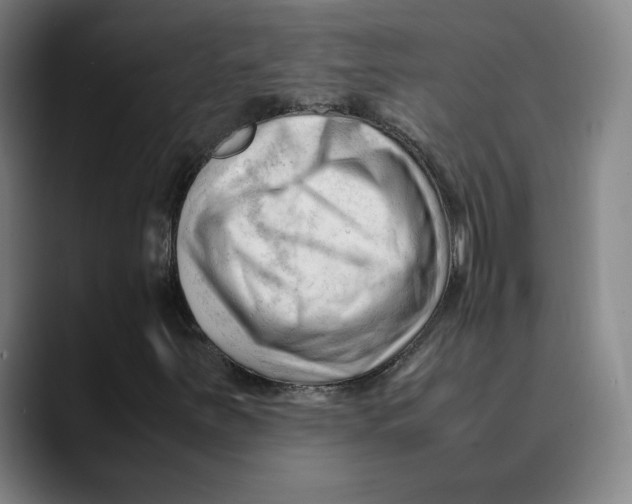 X0000089351251200707131524