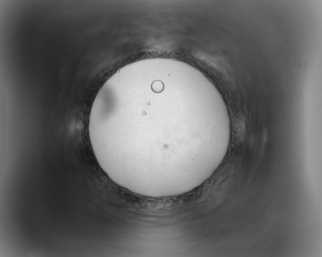 X0000089351254200707131524