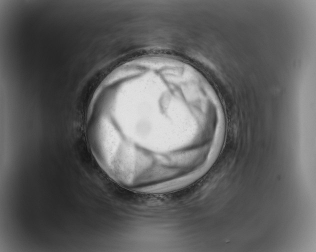 X0000089351255200707131524