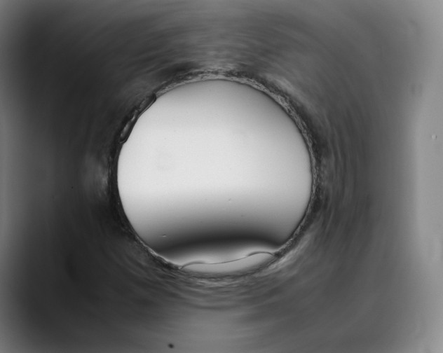 X0000089351257200707131524