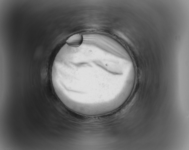 X0000089351259200707131524