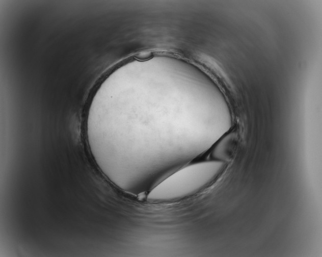 X0000089351260200707131524