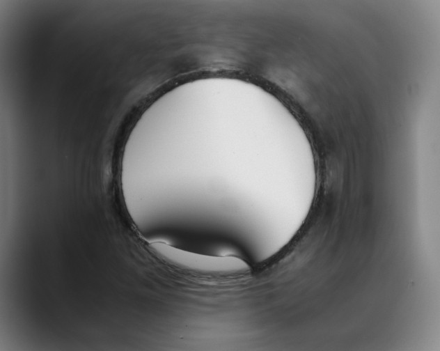 X0000089351261200707131524