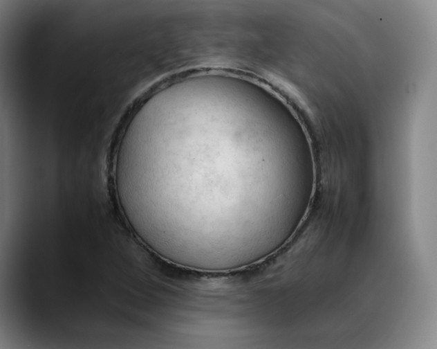 X0000089351264200707131524