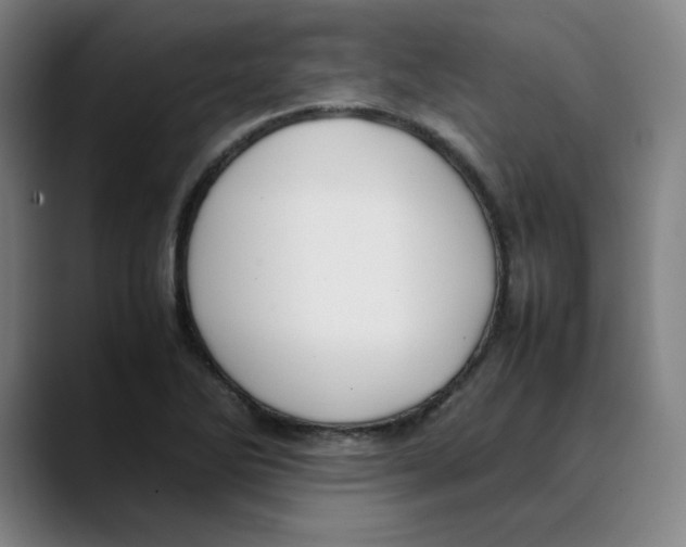 X0000089351270200707131524