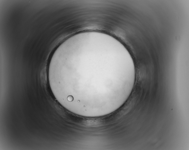 X0000089351274200707131524