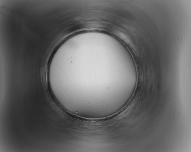 X0000089351275200707131524