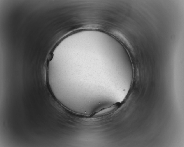 X0000089351276200707131524