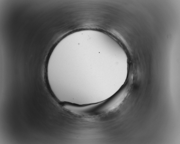 X0000089351277200707131524