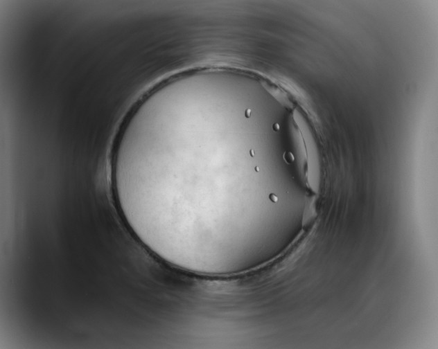X0000089351280200707131524