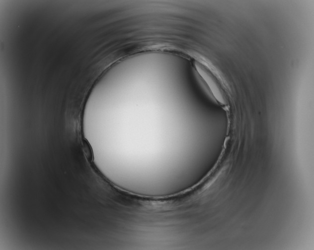 X0000089351281200707131524