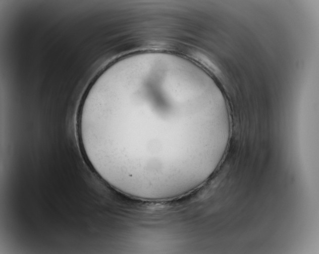 X0000089351283200707131524