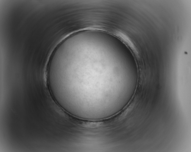 X0000089351284200707131524