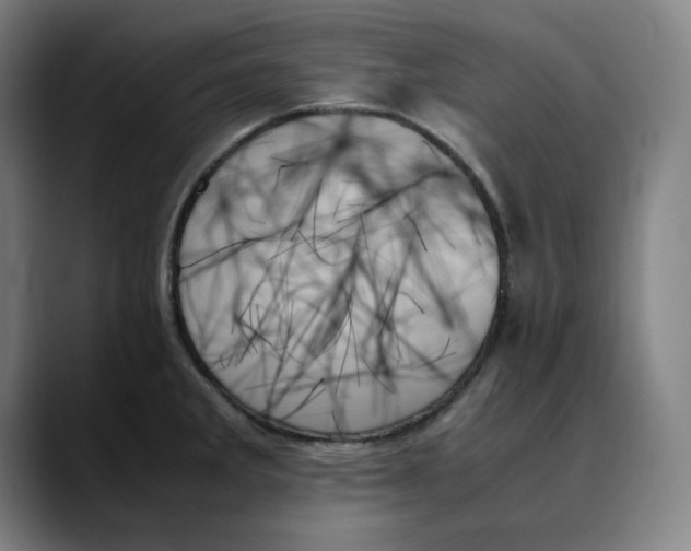 X0000089351285200707131524