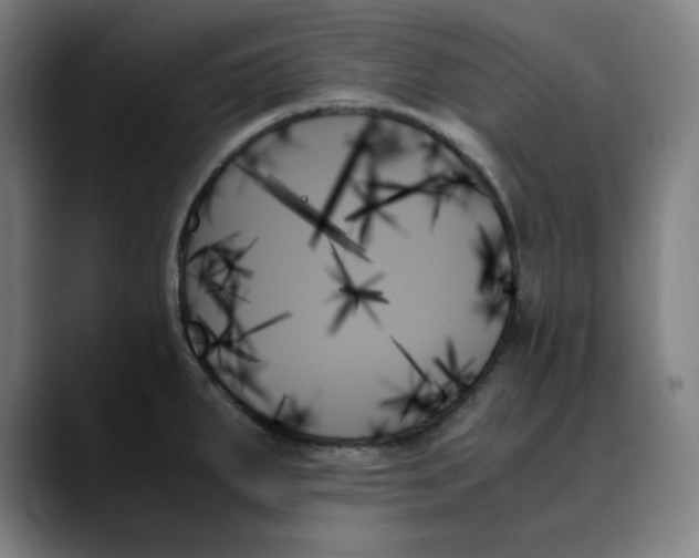 X0000089351287200707131524