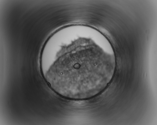 X0000089351288200707131524