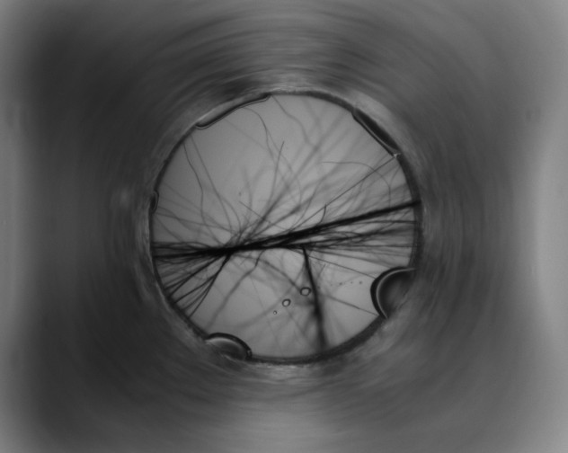 X0000089351289200707131524