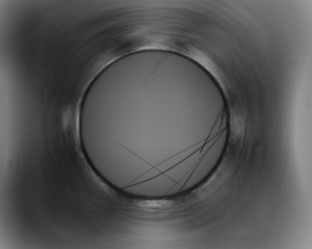 X0000089351290200707131524