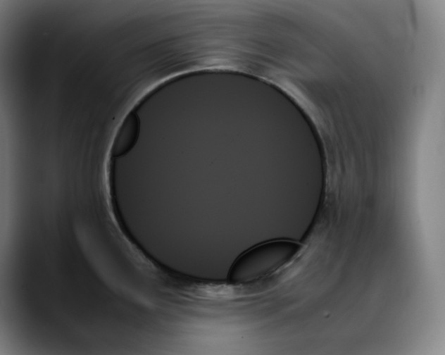 X0000089351291200707131524
