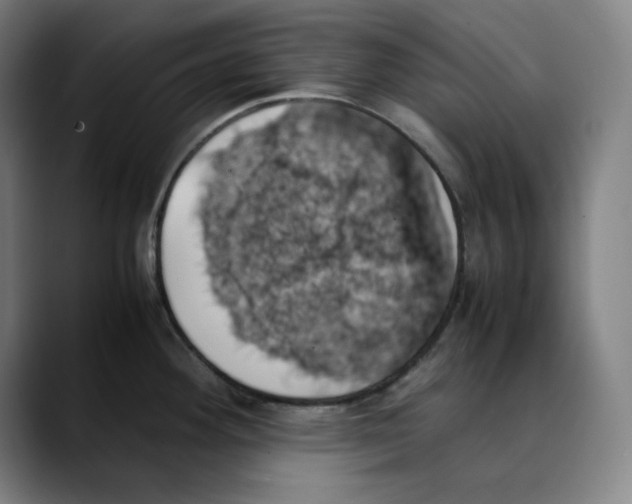 X0000089351292200707131524